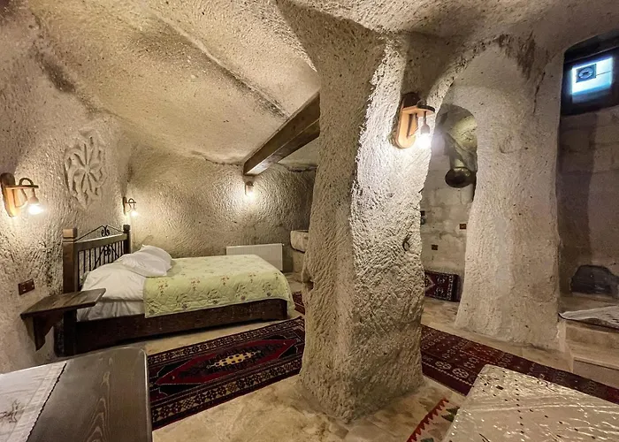 Takunya Cave Hotel *